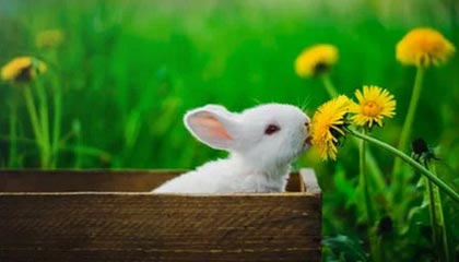 九游-国家男篮训练营加强体能和战术磨合，男篮 训练